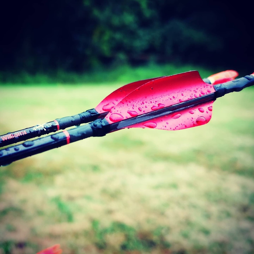 r0bb080's tweet photo. They even look good in the rain!
#XSWings #arrowsocks #EastonX10 #beiternocks #WetWeatherArcher https://t.co/K42Bxqpx5A https://t.co/NWvvry8VPi