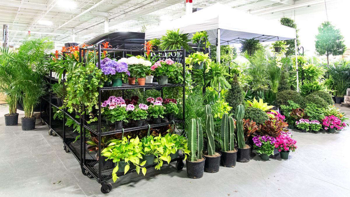 visitmilwaukee's tweet photo. Time to fill your garden! The popular Green Market Garden by @KehoeDesigns will be popping up on the Glass + Griddle patio this Saturday, 11am - 6pm. @MKEbrewco https://t.co/xJzFtgxG3B