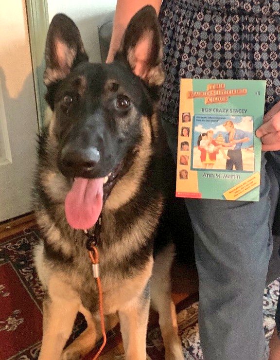 APLDeborahK's tweet photo. Teddy is ready for summer so he's being read Boy-Crazy Stacey (one of the best summer vacation reads ever!) by Ann M. Martin. We own the graphic version on ebook! https://t.co/VcSm2QsJ4K
#APLReads https://t.co/EX9uDk50GW