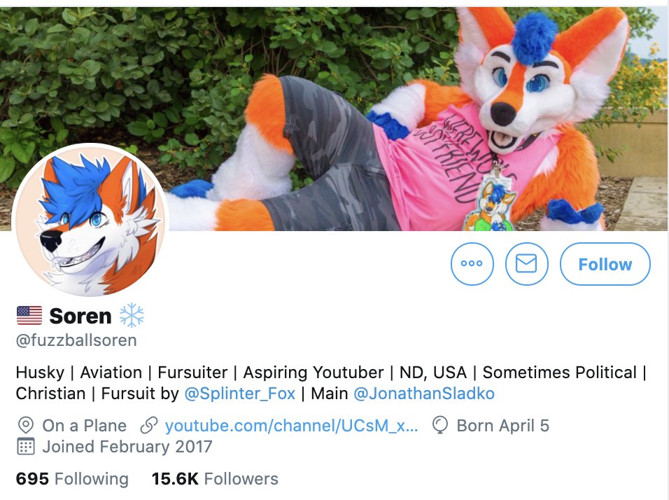 YouTuber fuzzballsoren uses black furries as a prop for positivity in public while sharing tweets calling them rats and supporting violence against them in private.