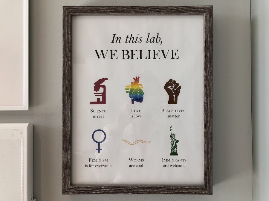 Earlier in the week, I learned that #sciencetwitter was inspired by a graphical display of allyship designed by  @SammyKatta. Today, you can download a #InThisLabWeBelieve poster for your worm, fly, mouse, genetics, or cell biology lab.  sammykatta.com/diversity