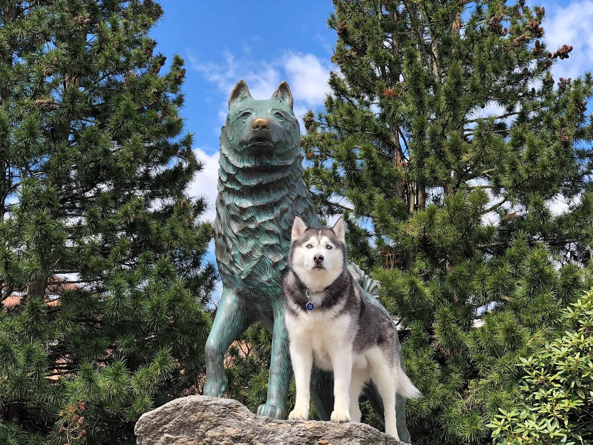 UConn6thBorough's tweet photo. https://t.co/Iyo5T8mtpm