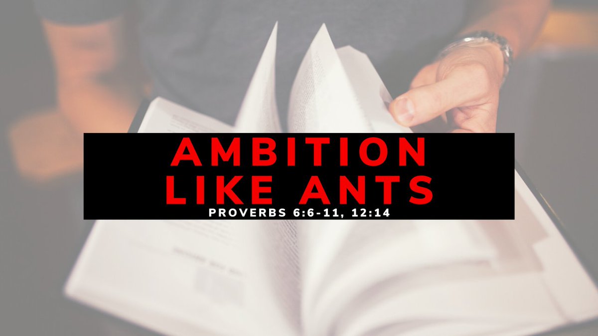 FJBTHbook's tweet photo. Proverbs 6:6-11 hit me this week. Moments later, we saw ants hard at work. My son and I just watched them. They inspired "Ambition Like Ants" on ##FJBTH https://t.co/zQcFU5nzH9 https://t.co/QDwxGP134N