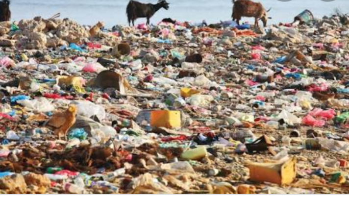 Scolasticakhal1's tweet photo. Careless disposal of plastics by humans has adverse effects to nature like the case below.. See for yourself and take action It's unhealthy and it harms nature
#NewDealForNature
#UbuntuNature
#ReconnectWithNature

@SUSOyouth @MrPmoll https://t.co/sw7Vxi4lQB