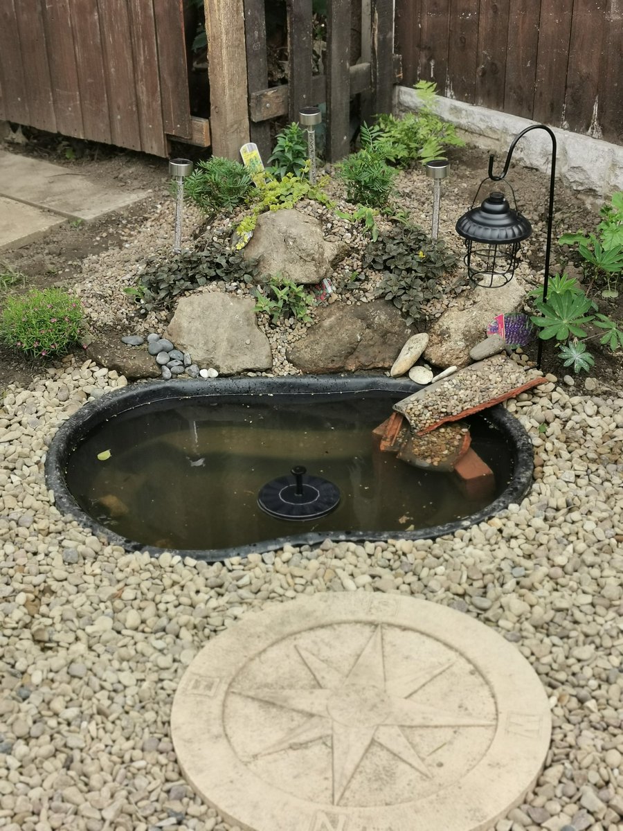 dansufc10's tweet photo. @BBCSpringwatch my son Jack new wildlife pond we've done over the last couple of days. https://t.co/sBncOYh874