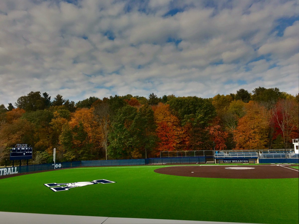 YaleSBCamps's tweet photo. COVID-19 Information:

Due to the coronavirus situation, we will not be holding any clinics this summer. 

#Staysafe and stay tuned for fall &amp; winter events!

@YaleSoftball https://t.co/wgXsk9W4Rv