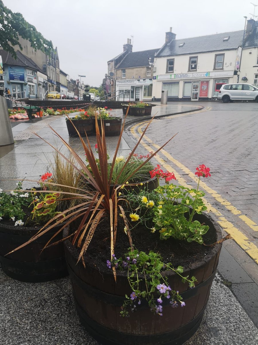 AntheaCtsi's tweet photo. Hard day planting with tiny team of volunteers and in rain! Hope the coastal theme cheers folk up - thanks to @EPIC_OCHILS @scottishautism @AlloaFirst @AllCleanedUpSco & Daphne and Teresa #welcomebacksoon https://t.co/2A3Ck9LXXW