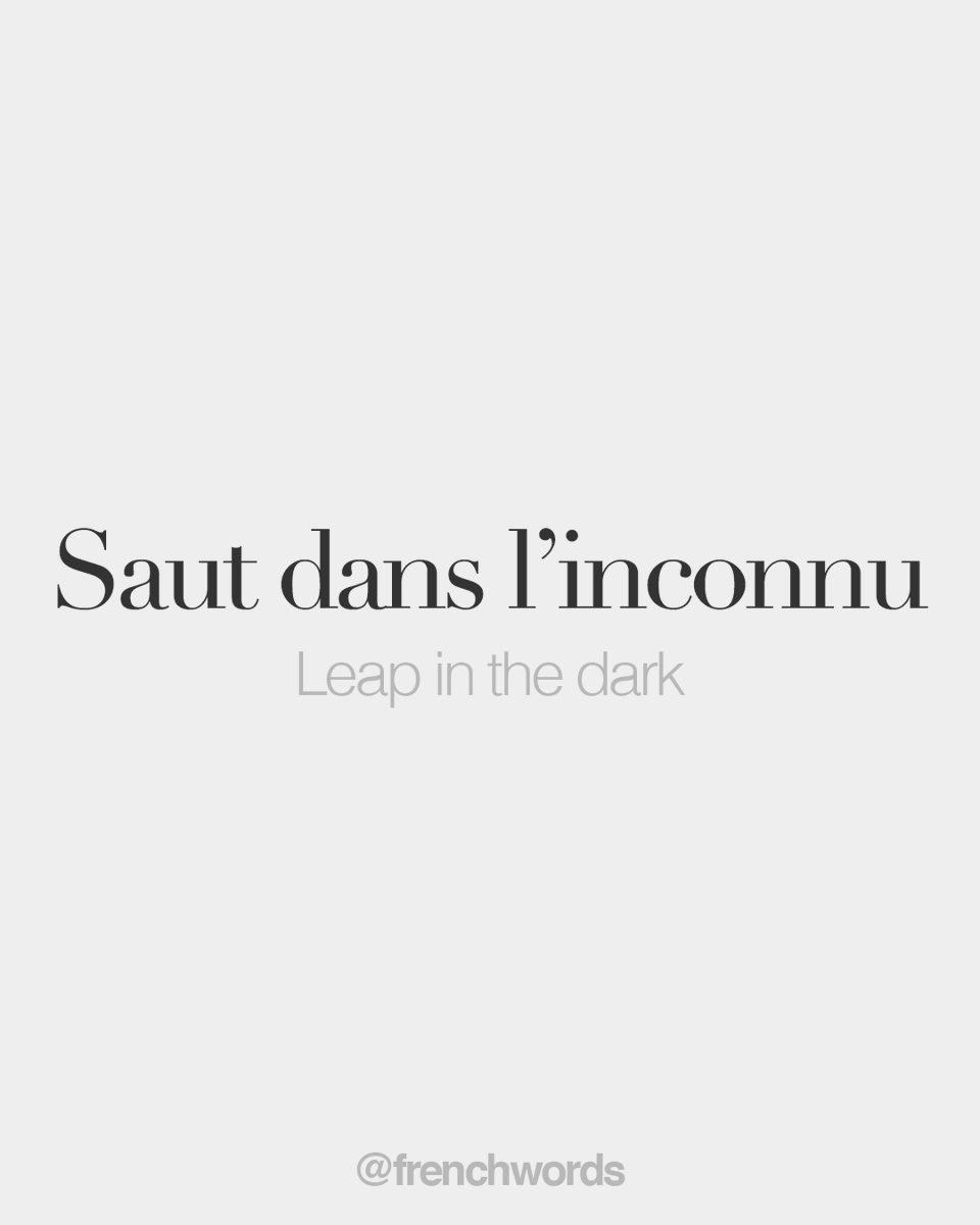 frenchwords's tweet photo. Saut dans l'inconnu (expression, literally: leap in the unknown) • Leap in the dark • /so dɑ̃ lɛ̃.kɔ.ny/ https://t.co/7EHJMo0LzT