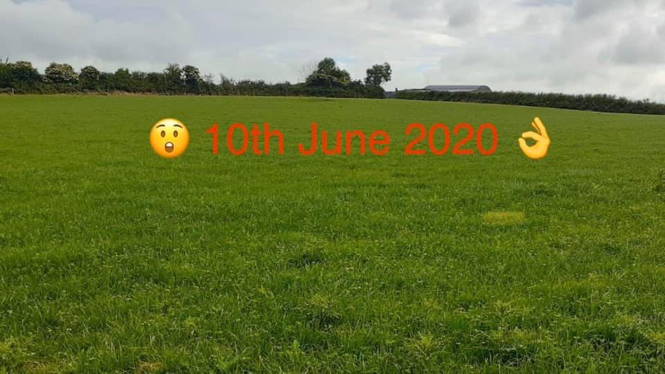 brianreidy75's tweet photo. Another local customer delighted today with results of Omex Nitroflo applied to grass seed on 1st June
“With 0mm of rain in the last 9 days since application, its exceptional growth. If we get some rain it will jump out of the ground”
#Results
#PremierAgriSupplies
#OmexNitoflo https://t.co/UdKMvxG54l