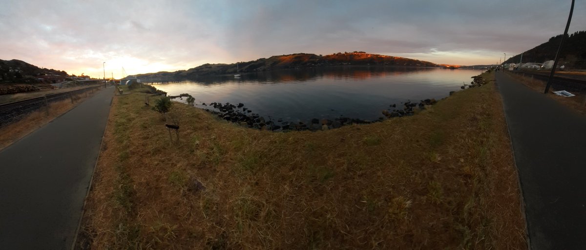 Dr Ali Hill, R. Nutr. tweet media