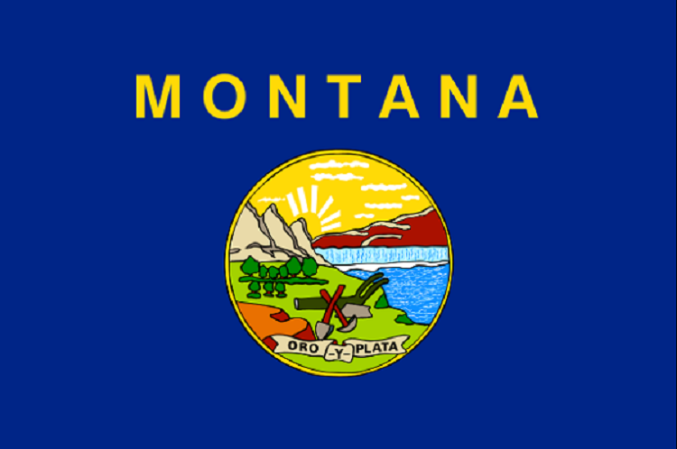 Suspected Drunk Driver Hits, Drags Montana #Firefighter 100 yards, buff.ly/3fhXeBr