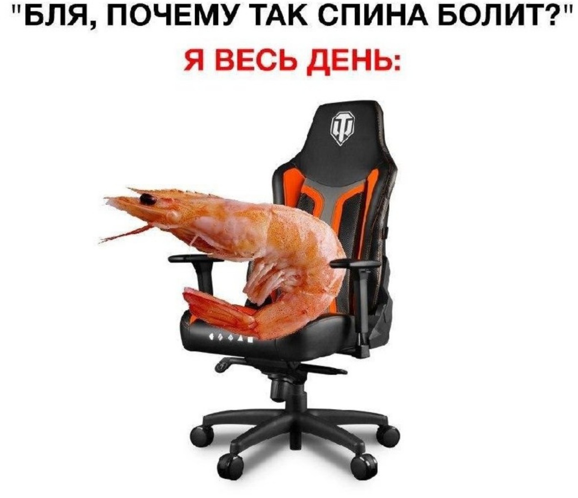 Креветка в кресле
