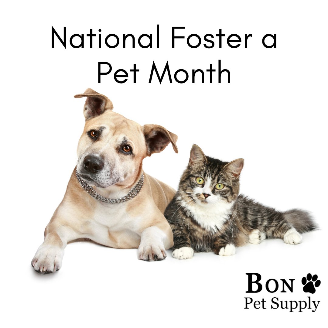 With many of us still at home, this may be the right time to try fostering a pet! 

Getting ready for your new addition can be overwhelming. 
At Bon Pet, We have everything you need to make Fido or Fee-Fee feel more at home. 🐶😺🐾❤️️

 #NationalFosterAPetMonth #BonPetSupply