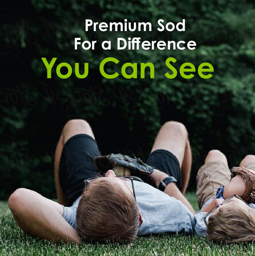 ScottsProVista's tweet photo. Scotts ProVista premium sod delivers the thick, resilient turf you want AND allows for the  complete weed control you need! https://t.co/54b6Hv4fOi https://t.co/LZyw0rOidK