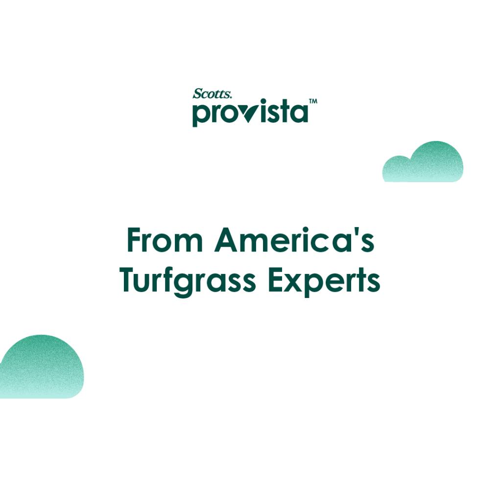 ScottsProVista's tweet photo. Scotts ProVista premium sod delivers the thick, resilient turf you want AND allows for the  complete weed control you need! https://t.co/54b6Hv4fOi https://t.co/LZyw0rOidK