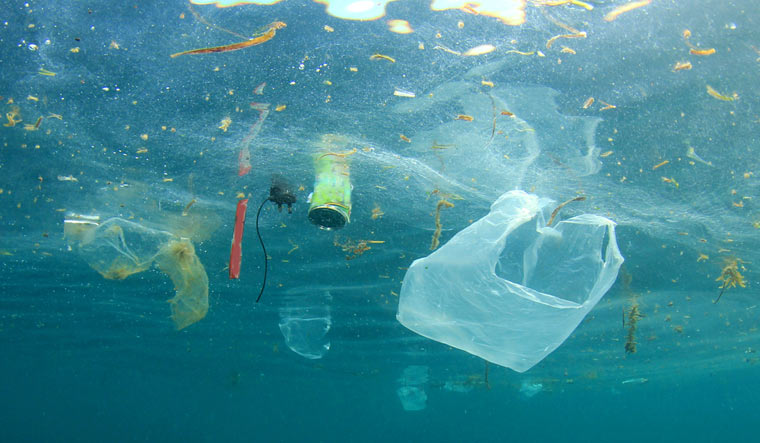 k_tshepi's tweet photo. Plastic bags in the ocean resemble jellyfish and are often ingested by turtles and dolphins who mistake them for food. #NoToSingleUsePlastic #NoToPollution #ValueOurOceans #WasteStopsWithMe #MissEarthSouthAfrica @missearth_sa https://t.co/B6DJ7xMszf