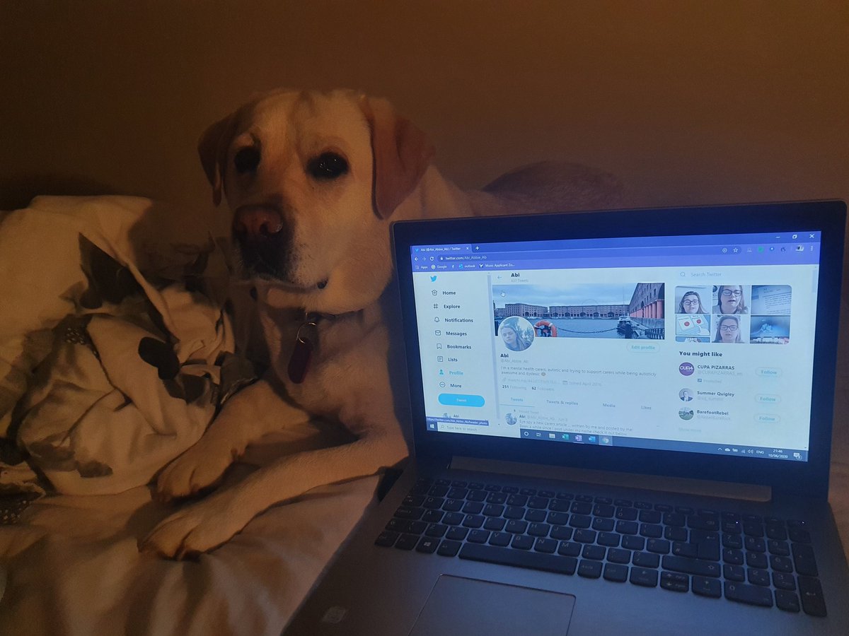 Abi_Abbie_Ab's tweet photo. Nothing beats carers week than having my 5 year old join me while i do some late night prep on articles ... 100% bribing her to stay still for her photos being taken. Btw new followers this is Annie my #labrador and #caringpartner #CarersWeek #carers #youngadultcarers https://t.co/3uWFJF5FEW