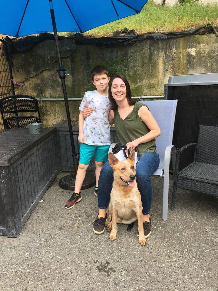 bestfriends's tweet photo. 1,700 lives in just 4 days? Now that's one amazing online #adoption extravaganza!

Best Friends teamed up with @AdopetsUS during the recent #FindLoveOnline virtual adoption event, which featured pets from more than 250 shelters and rescues. Read more here: https://t.co/nBgYJPNByh https://t.co/zqs1SCZgl3