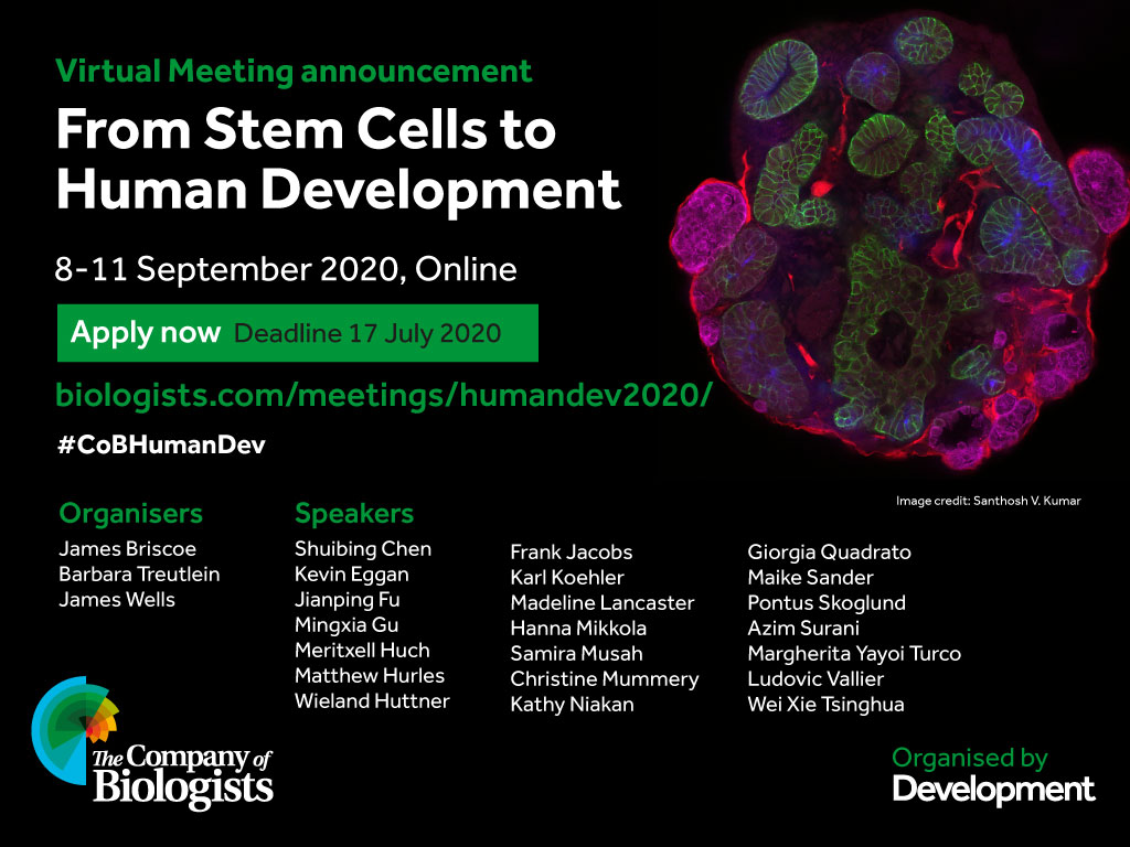 MusahLab's tweet photo. @ProfSamiraMusah to give invited talk at the Development Meeting "From Stem Cells to Human Development". Speakers united by challenges in working with human #cells and #tissues, and understanding human #development. #CoBHumanDev #MusahLab @Co_Biologists https://t.co/urQY0KLE4g https://t.co/8cnlcWBMBl