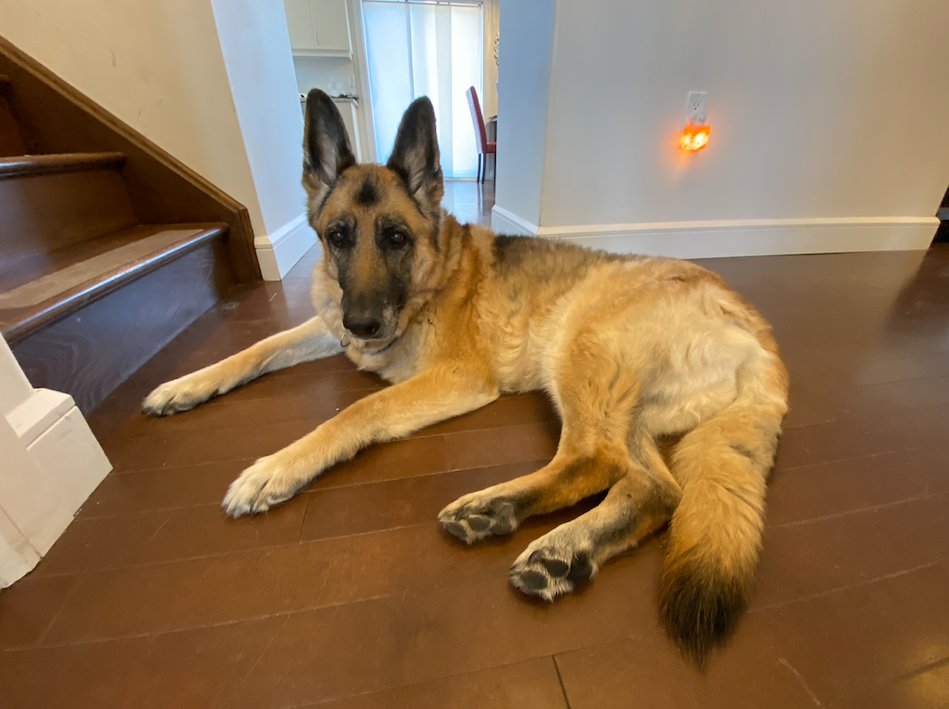 Susan Hopkins, EdD tweet media