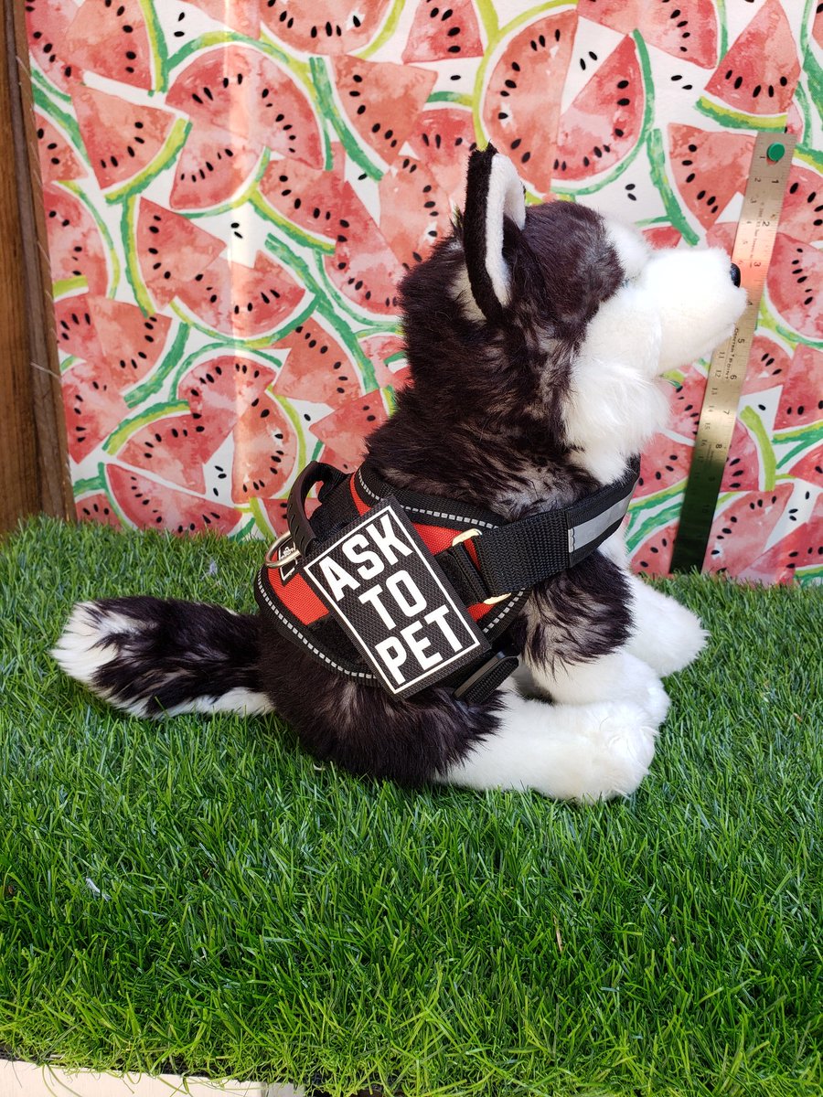 LilSproutCare's tweet photo. Ontop of being a rare stuffed animal he also comes weighted with glass beads and custom scented. Also! A vest, two patches and service sprout ID 🥺🌻🌱
Definitely a " treat yourself " sprout 
https://t.co/nV4VRURoux https://t.co/jB02EDTcvD