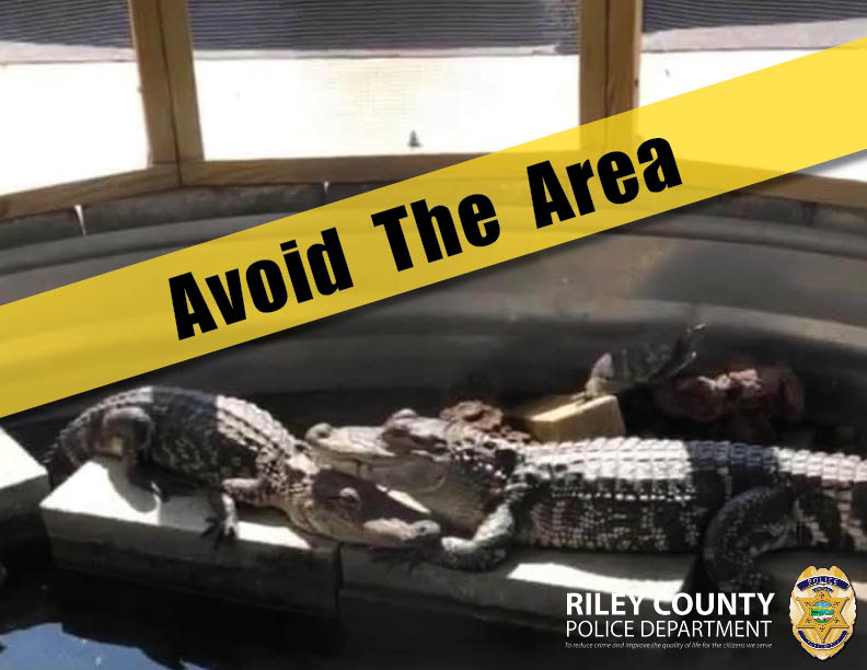RileyCountyPD's tweet photo. AVOID THE AREA - WILDCAT CREEK

On Wednesday, June 10th around 1:30 p.m., the Riley County Police Department Emergency Dispatch center received a call from a man who said he saw an alligator while walking on Linear Park Trail near 17th street: https://t.co/oK0U8Situg https://t.co/oHLjUACFAi