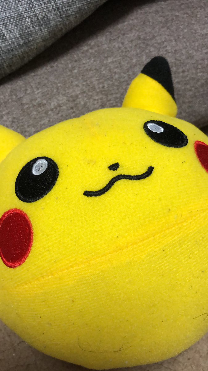 由雨太 昨日の夜 息子にピカチュウのぴょこたま 刺激すると歌いながらぴょんぴょん跳ねて動き回るぬいぐるみ をあげた ずーっと ぴっかちゅ ぴっかちゅ ぴかぴか って言ってる 朝もずっといじってて 朝ごはん食べてくれない 服も着替えて