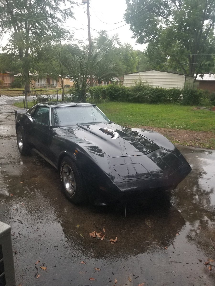 elsokelso's tweet photo. I did a thing #stingray #dreamscometrue https://t.co/UGZZnIdE0c