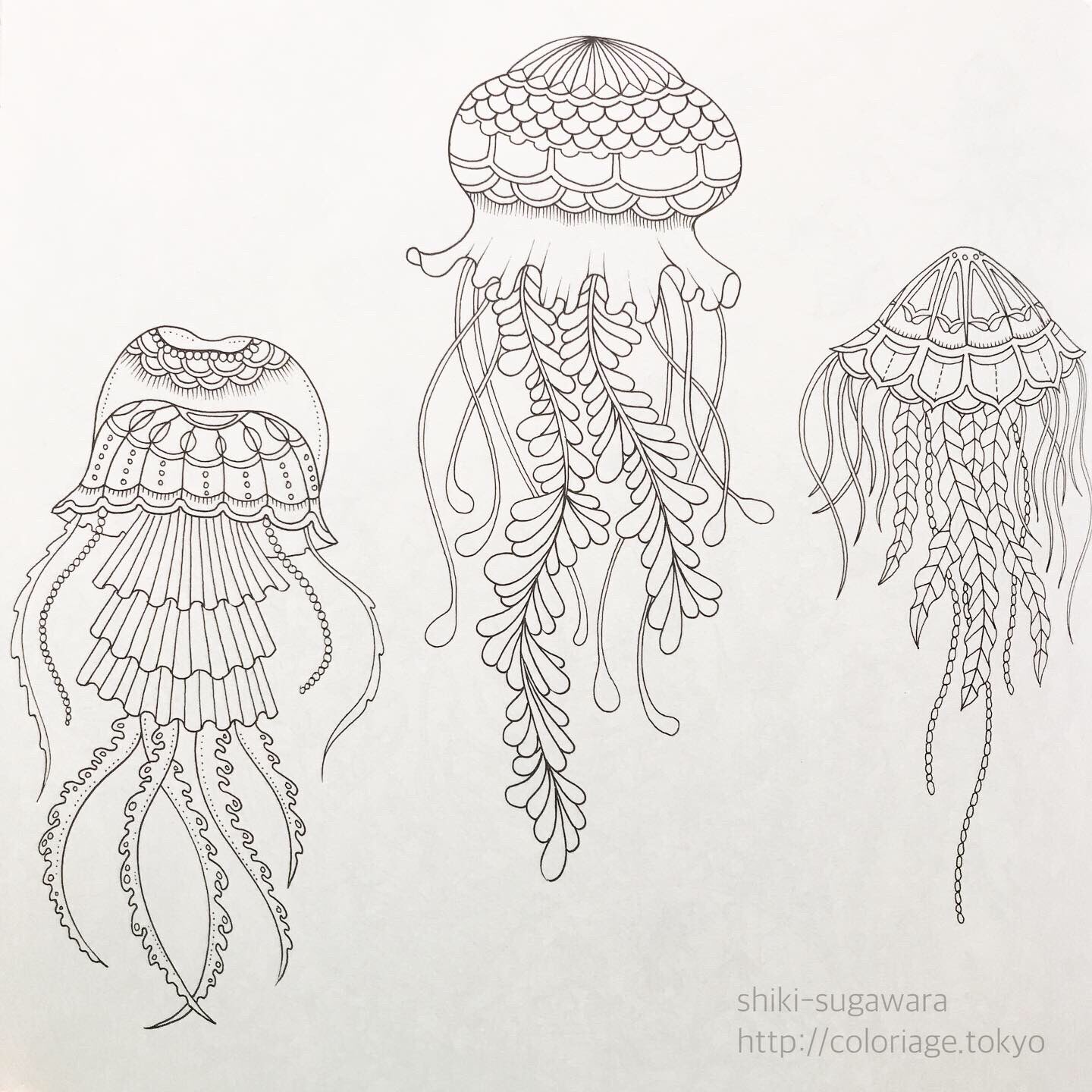 菅原志希 コロリアーティスト On Twitter ポムポムプリンなクラゲに変装中 大人の塗り絵 おとなのぬりえ コロリアージュ 海の楽園 ポムポムプリン サンリオ 三菱鉛筆uni