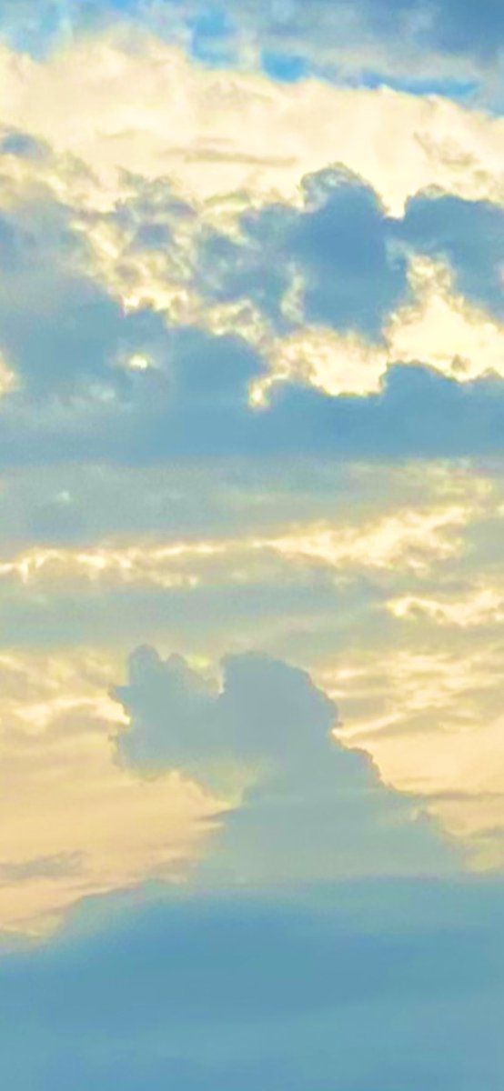 paulette01234's tweet image. #Doggy #Molly in the Sky 🌌.
True Poem. 🐶 ❤️✍🏽 #Pwow