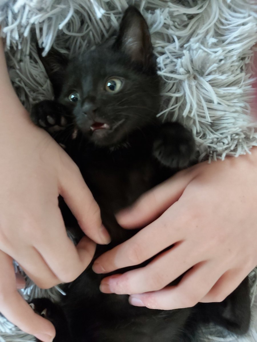 Nooo, kochani, teraz to ja jeszcze bardziej mam dość i będę działać😈

Jutro zrobię follow backi, do supportu napisane, smsa z kodem weryfikującym nie ma nadal.

I love you ❤️ Jesteście cudowni, dzięki, że pomagacie. 
A na potwierdzenie, że ja to ja - koteł na dobranoc 🙂