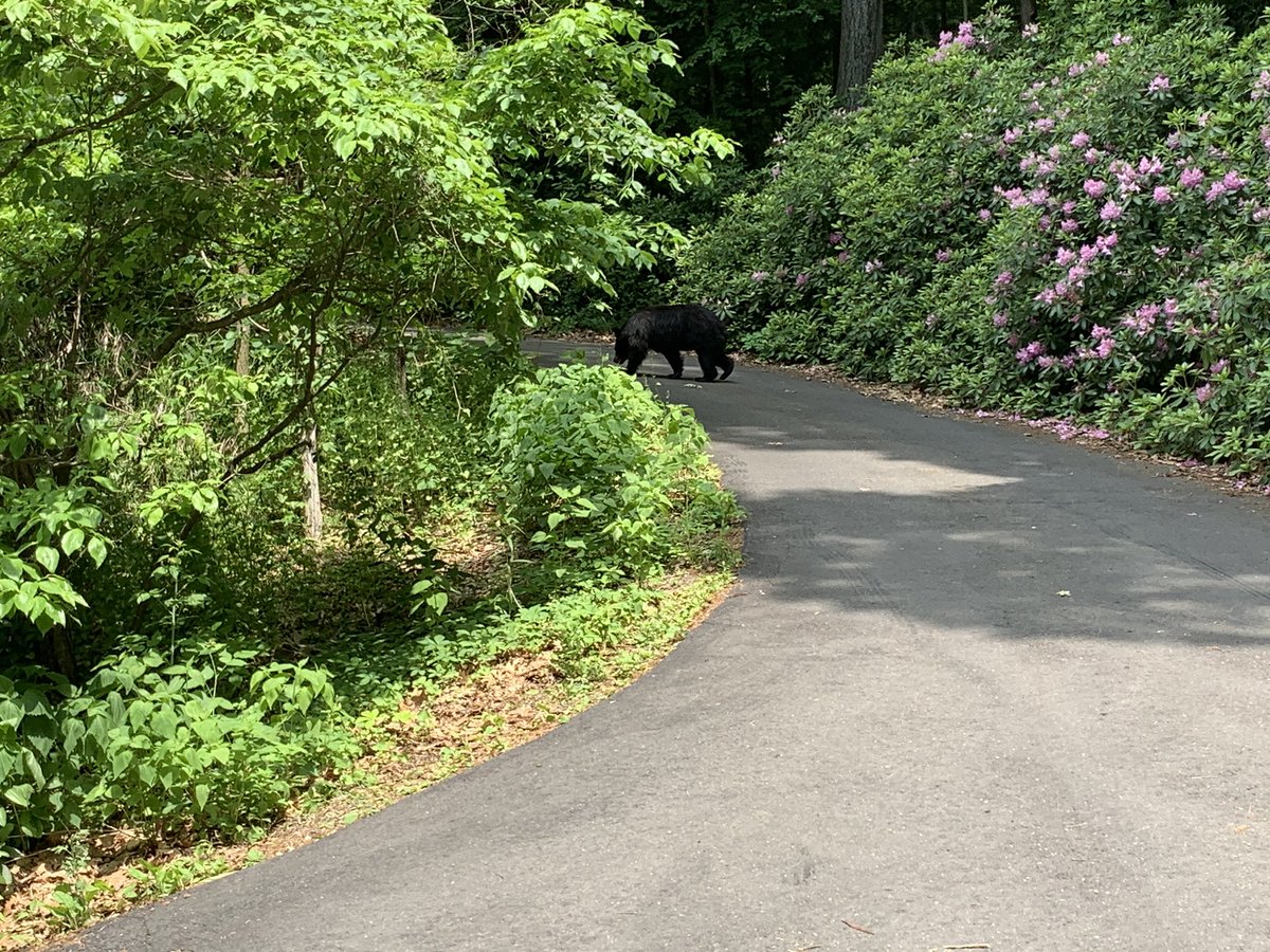 Avon Middle School tweet media