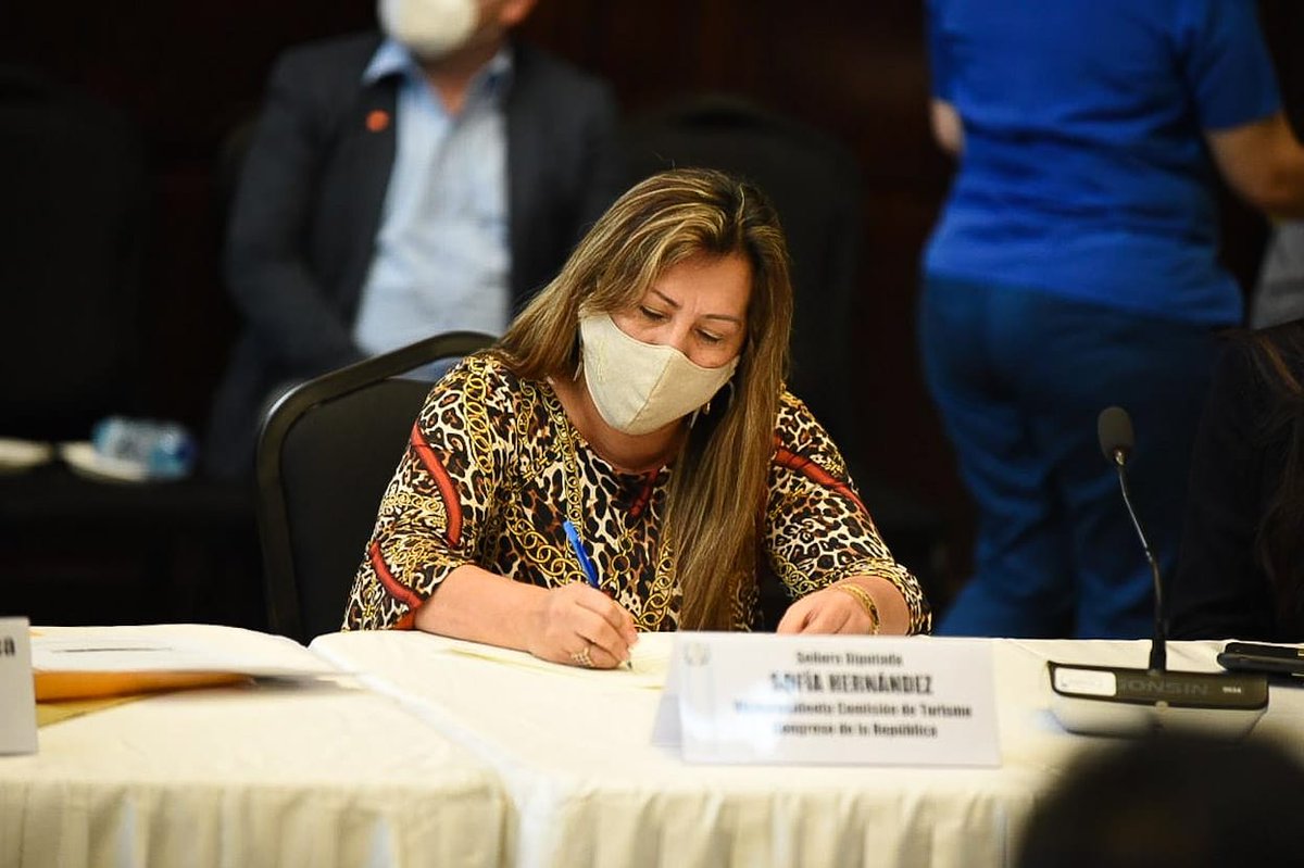 A consideración de la diputada <a href="/SofiaHernandezI/">Dip. Sofía Hernandez</a>,  primera Vicepresidente del Congreso, el Ministerio de Economía debe de priorizar el apoyo a las Mipymes, y propone propiciar las condiciones idóneas para reactivar dicho sector por medio de una mesa de desarrollo turístico.