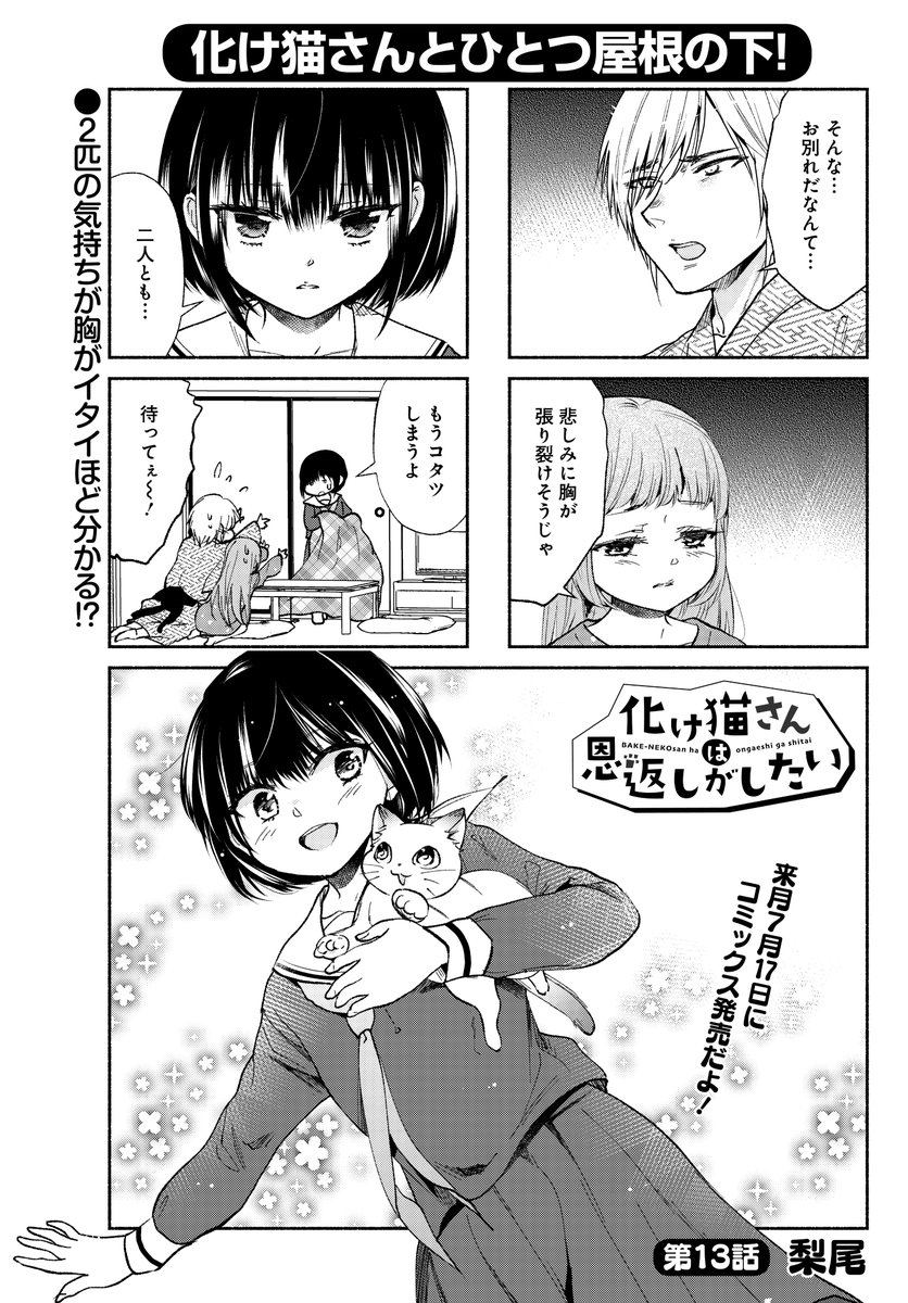 「#化け猫さんは恩返しがしたい」(#梨尾)
コミックス第1巻、7/17発売!
(化け)猫二匹が別れを惜しむのは…そう、猫ホイホイのアレです。
#まんがライフオリジナル #本日発売 