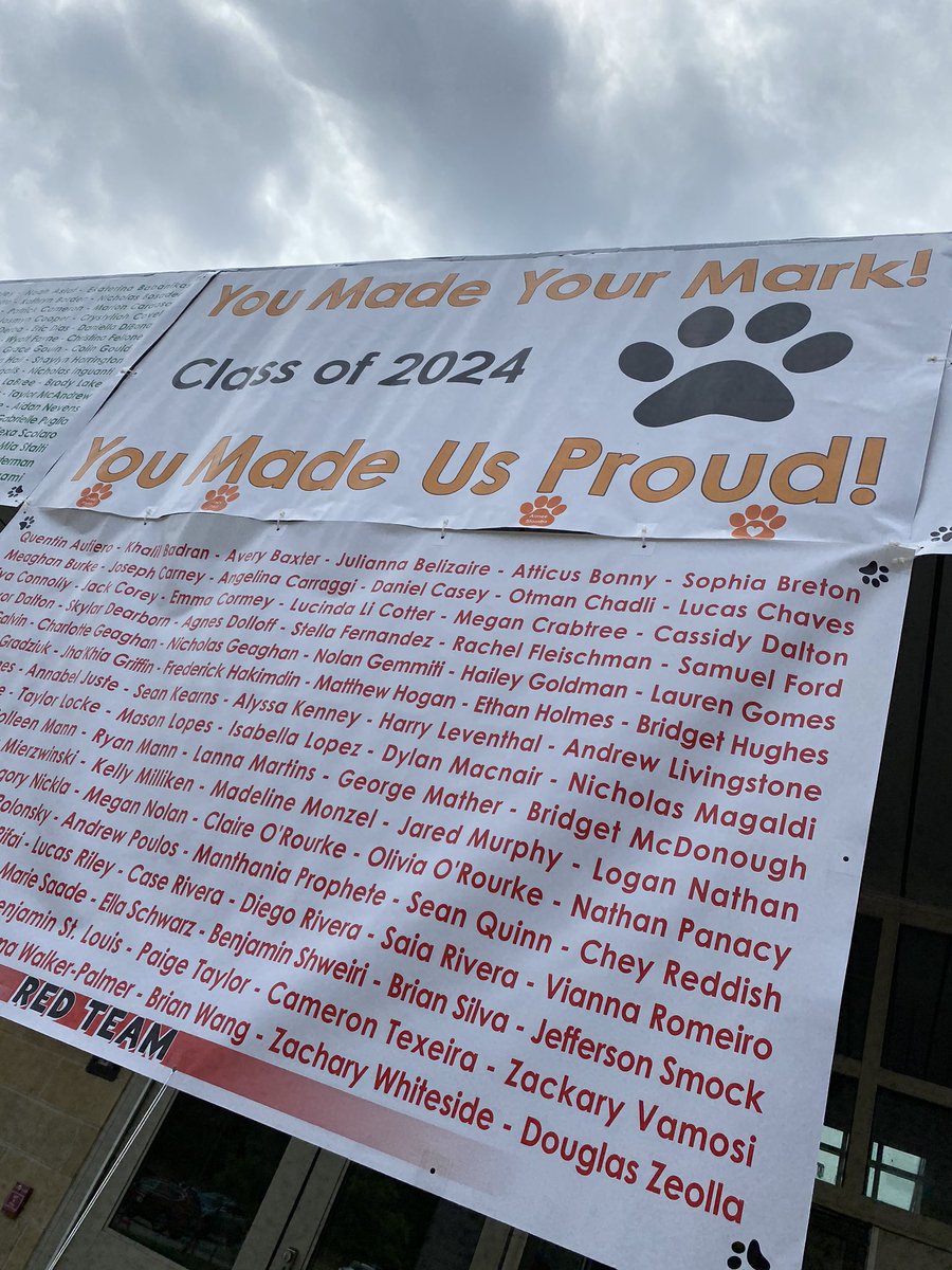 Lu Marques tweet media