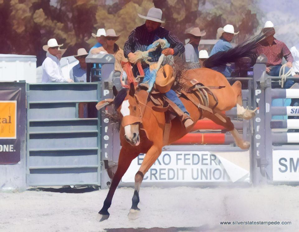 StampedeState's tweet photo. 🌟🌟🌟 OLD WEST BRONC RIDERS! 🌟🌟🌟 
We are optimistically on track to have our rodeo, pending phase 3 reopening guidelines, and WE NEED TO HEAR FROM YOU to determine if we will have the OWBR this year or not. Please call Ralph to enter 775-397-2275 https://t.co/yAMaWke3VW