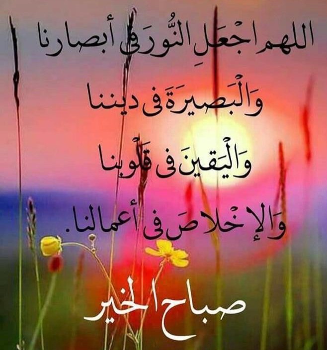 جعلني  الله وإياكم ممن يقــال لھــم
 ( *ھـذه الجنــة التي كُنتــم بھـا توعــدون )* 
هذه هي دعوتي لڪـم نابعة من أعماق قلبـــي طبتم وطابت حياتكم
 وأعمالكم وكتب الله لي ولكم القبول والرضا.

        🕊🌹 *صباح الخير🌹*🕊