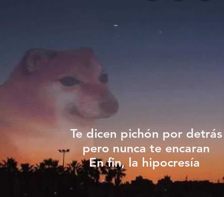 vickycaporrella's tweet photo. @MicaelaMiku201 https://t.co/W4dFPnFSVe