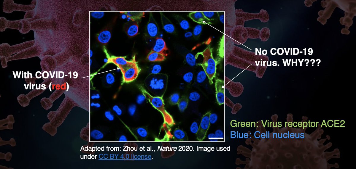 Syncell Microscope SYNCELL (@SYNCELL1) | Twitter