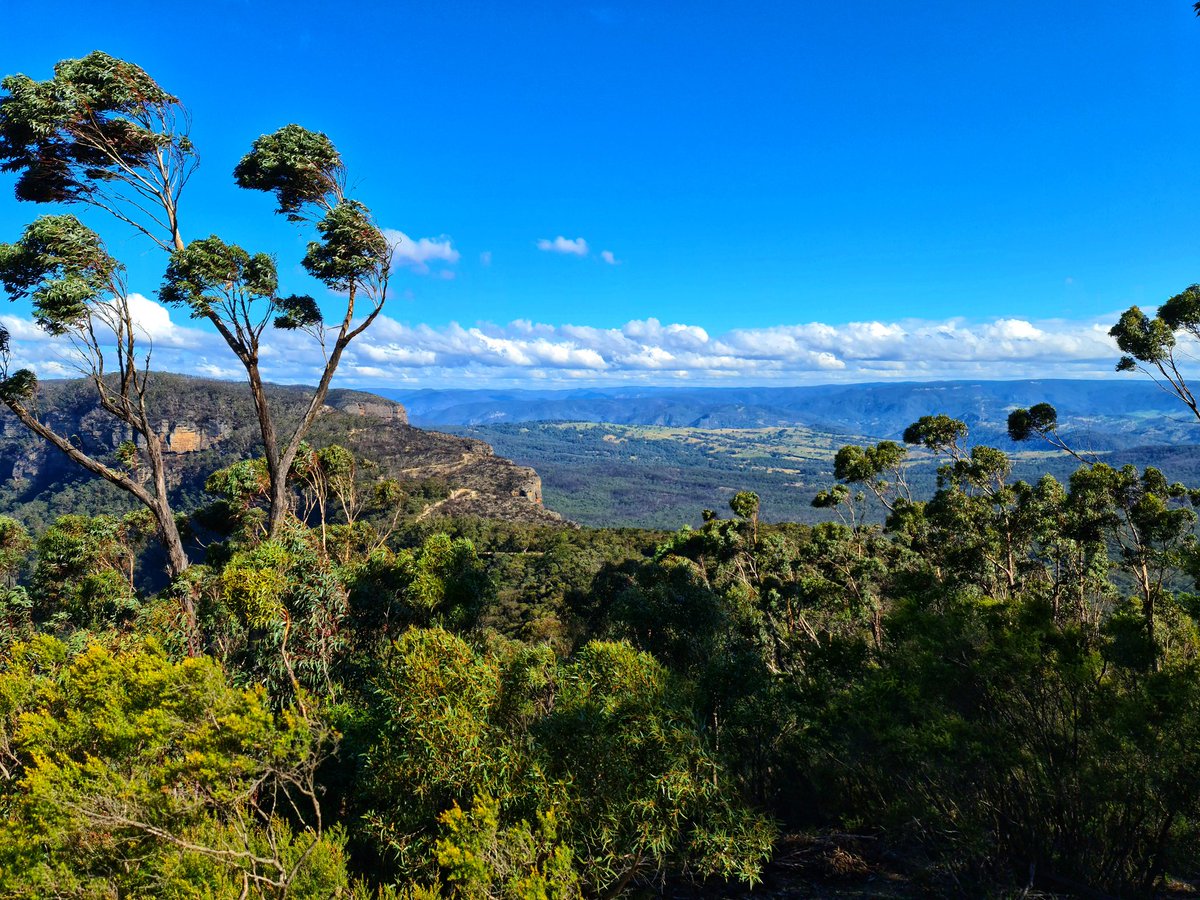 endless_roaming's tweet image. Travel in Times of #COVID19 Heading over the #BlueMountains #travel #traveling #Australian