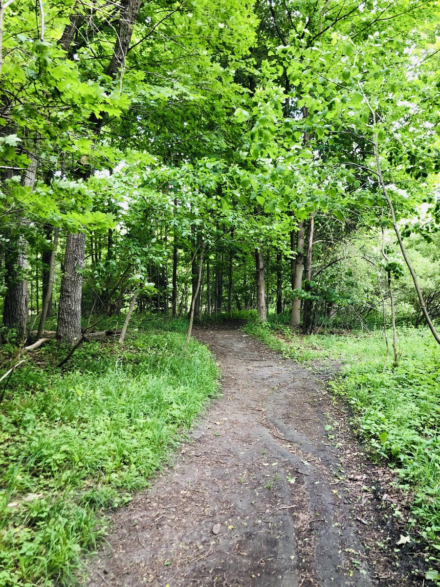 SalmanK84s's tweet photo. Beautiful day at morningside park. Lots of green space , trails and wildlife. https://t.co/pKBSHhirgT