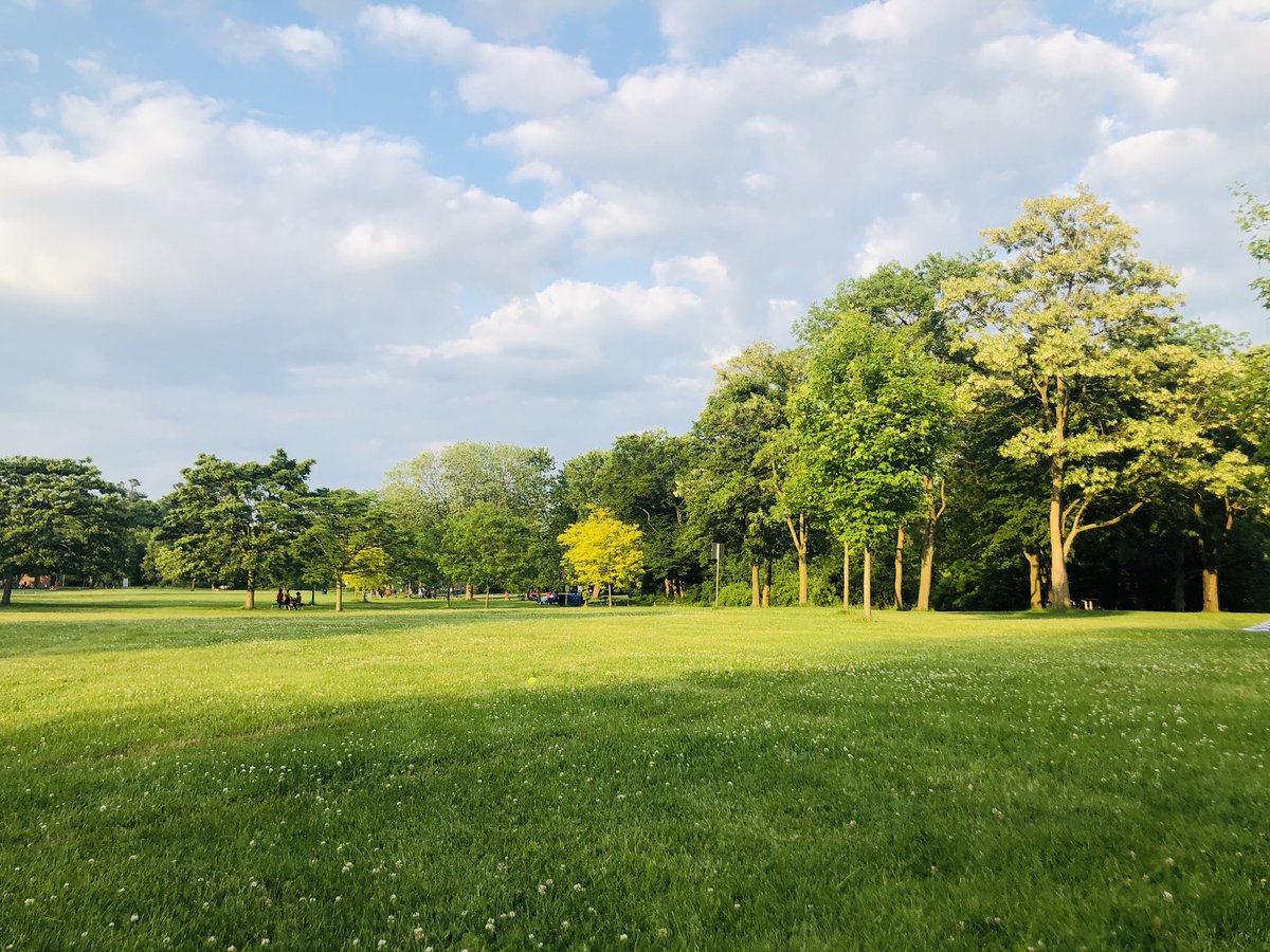 Beautiful day at morningside park. Lots of green space , trails and wildlife.