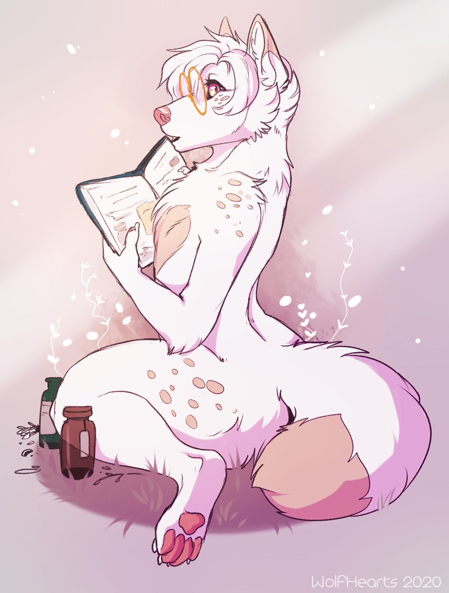 WolfHearts tweet media