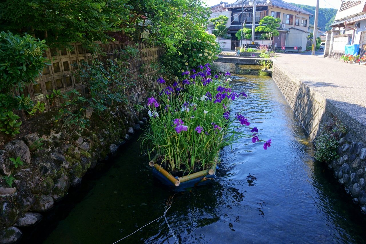 ざんざるぶ 名張市 城下川の花筏 いかだ 旧市街の水路に浮かべられた花籠が涼やかでした 14日まで見られるそうです 6 7 撮影 名張市 三重県 花菖蒲 T Co 2jdzjxq0vn Twitter