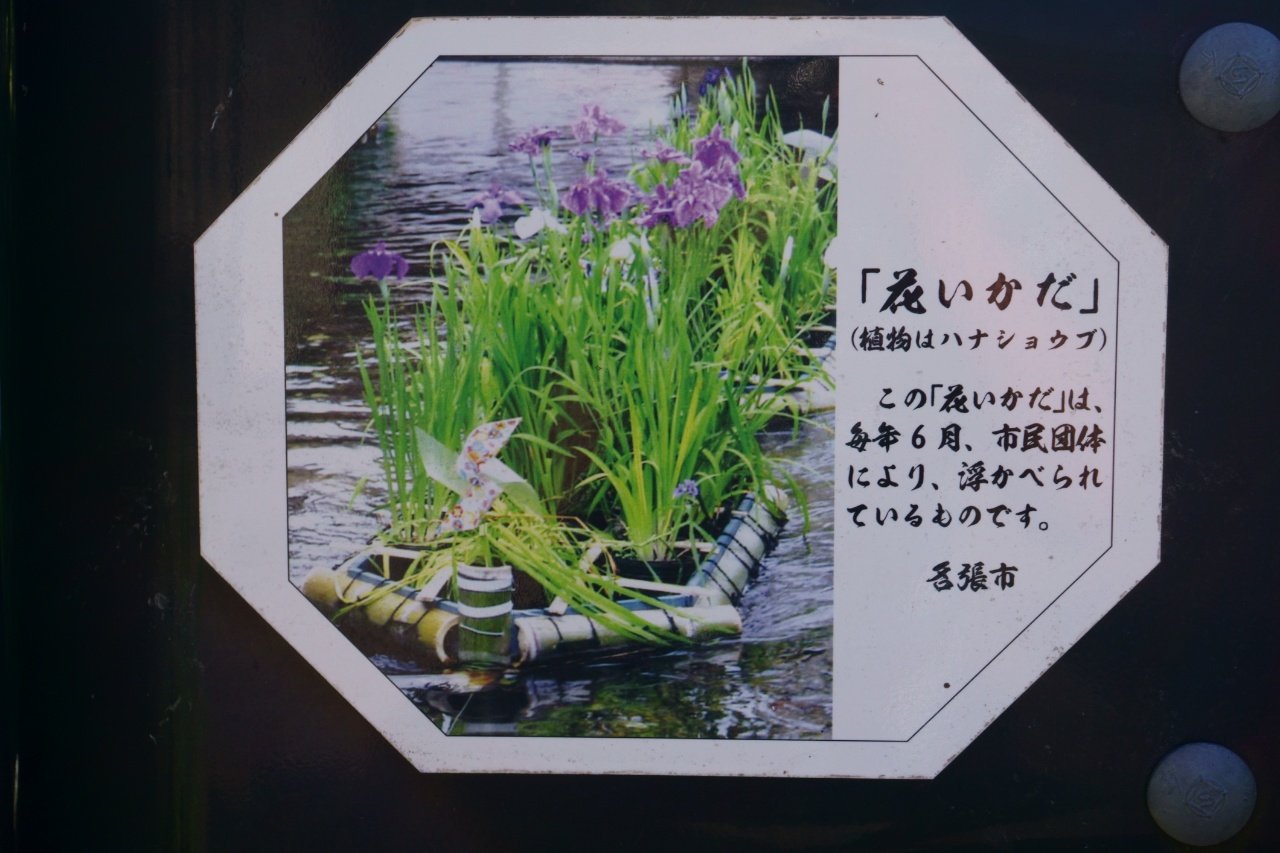 ざんざるぶ 名張市 城下川の花筏 いかだ 旧市街の水路に浮かべられた花籠が涼やかでした 14日まで見られるそうです 6 7 撮影 名張市 三重県 花菖蒲 T Co 2jdzjxq0vn Twitter