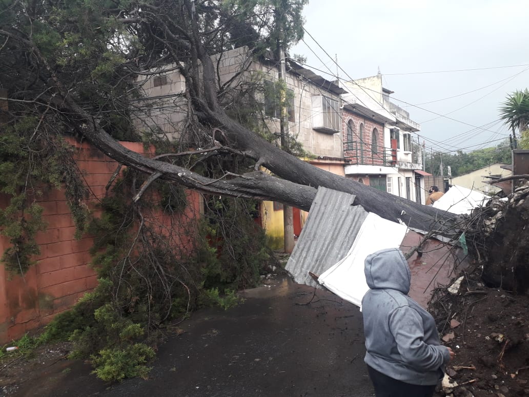Árbol cae en vivienda ubicada en la 2 av. y 7 calle zona 1 San José Pinula, al lugar se destaca personal municipal para liberar el paso.