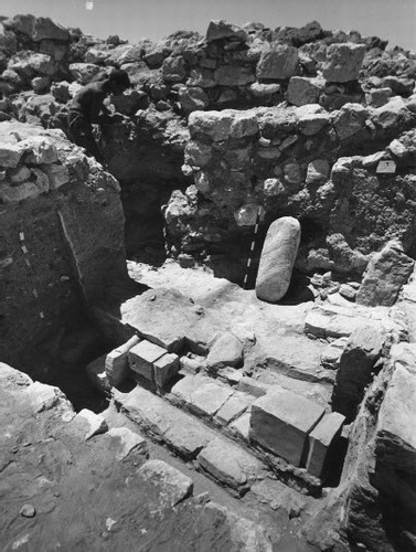 Cannabinoid2's tweet photo. #Ancient religious cannabis use in Israel
Listen to my BBC interview about cannabis found at an ancient Israelite worship site. What does this archeological site reveal ?
https://t.co/WPUMwuisxu
It starts from 18.38 https://t.co/CQe45qy5wY