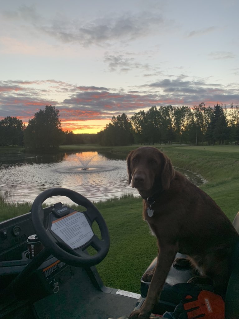 Geoff Strelow tweet media