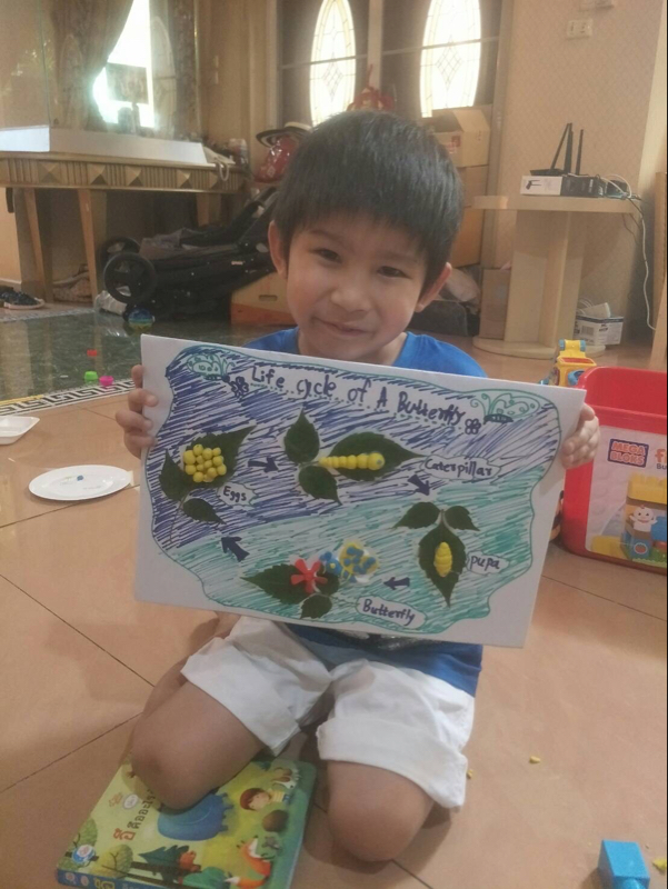 SHBriverside's tweet photo. This week EY2 have been focusing on the care of animals and the planet. Ms Rawley has sent us some great photos to share.

Proud shared an animal's info book, Porsche shared a butterfly's life cycle &amp; D-Naan shared his morning glory seeds growing.

#SHBDistanceLearning https://t.co/jJe21WYhpY