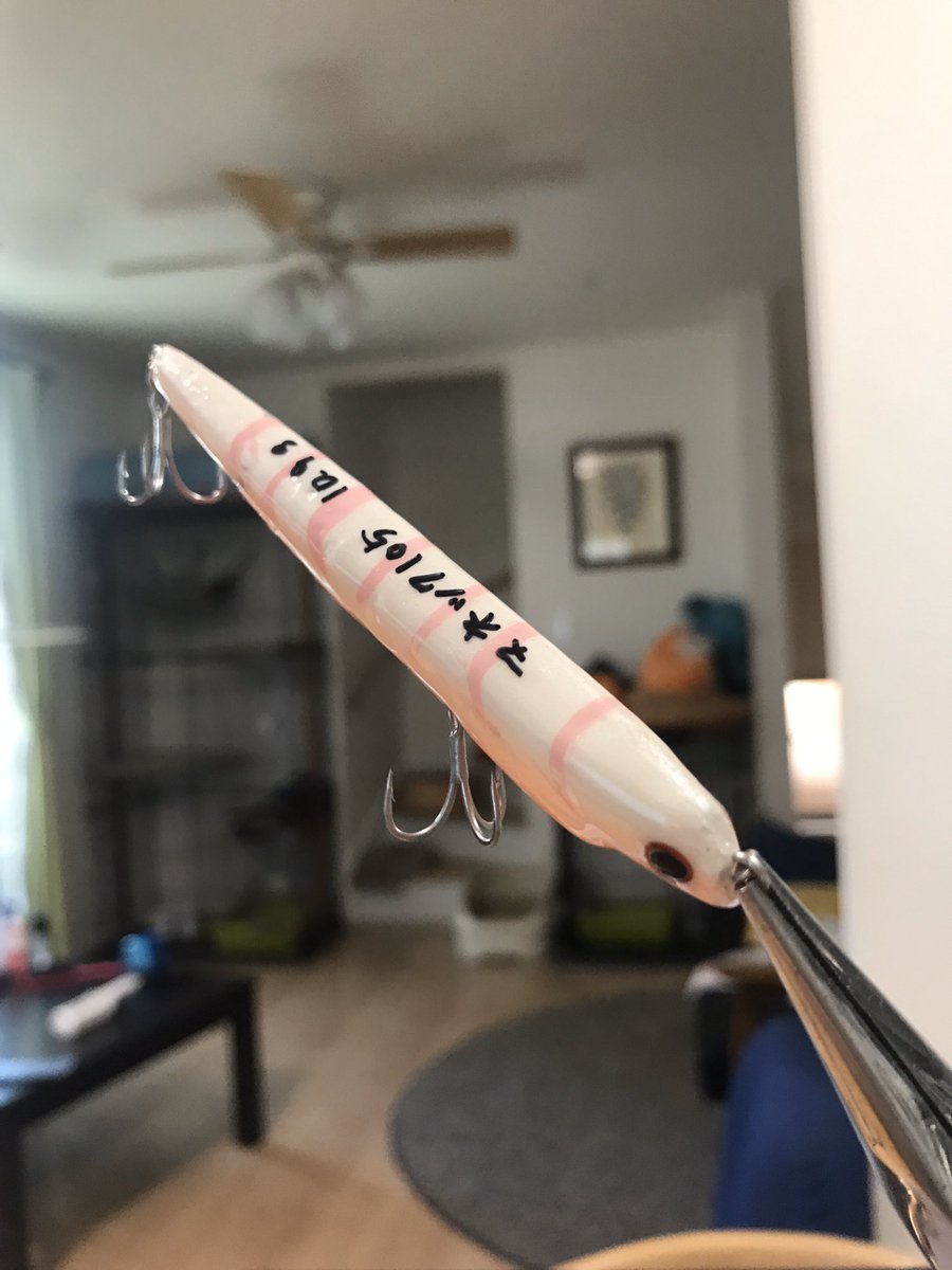 kanichan2020's tweet photo. 思いたってすぐ行動！日曜日から作り始めた初めての自作ルアー。突貫工事で完成させて爆風の港湾バチゲームへ！

やってくれました！友人に投げて貰ったら1投目で釣れた！マジか。2人ともテンションブチ上がりま���た😂

僕はボウズでしたが記憶に残る最高の釣行に🎣

#自作ルアー #シーバス #東京湾奥 https://t.co/1en2xSh2Uj